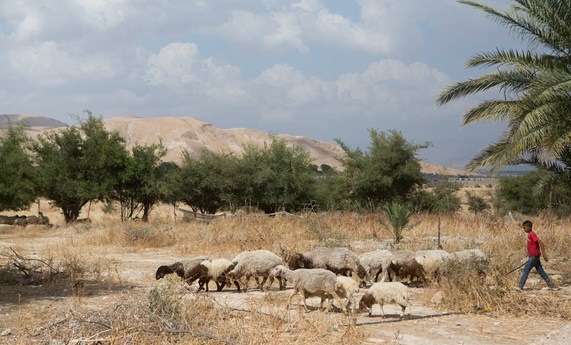 Presidency Condemns Israeli Plan to Uproot Jordan Valley Community