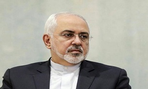 Zarif welcomes India's investment in Iran's petchem industry