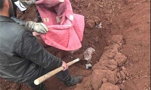 Mass Grave of Several ISIL Victims Found in Eastern Syria