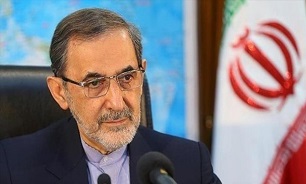 Iran Supports Establishment of Peace, Stability in Afghanistan