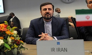Iran envoy to IAEA says US source of many world's problems