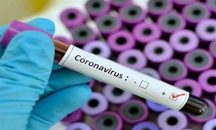 French Researcher Posts Successful COVID-19 Drug Trial