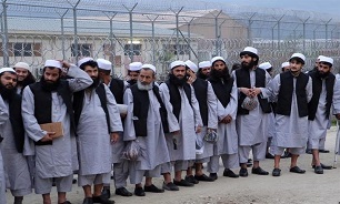 Afghan Govt., Taliban Agree to Doha as Venue for 1st Peace Talks