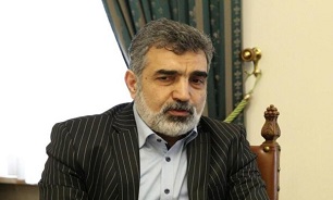 Iran to adopt 'smart response' toward Natanz incident