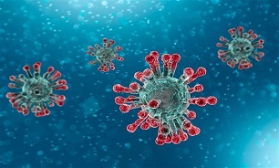 Coronavirus Could Have Been Waiting for Years to 'Ignite': Scientist